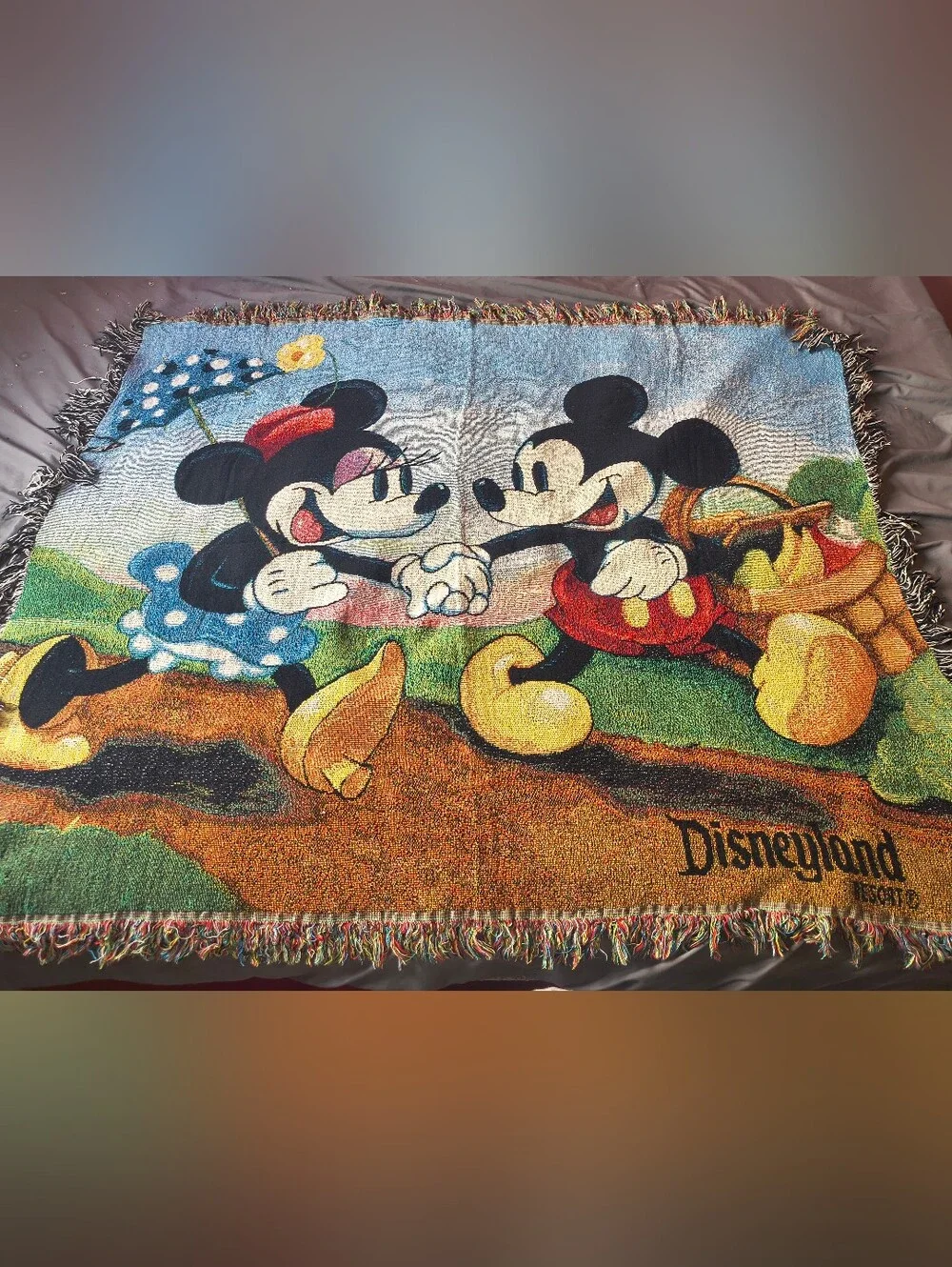 Vintage Disneyland Resort Mickey & Minnie Mouse Picnic Woven Tapestry Blanket